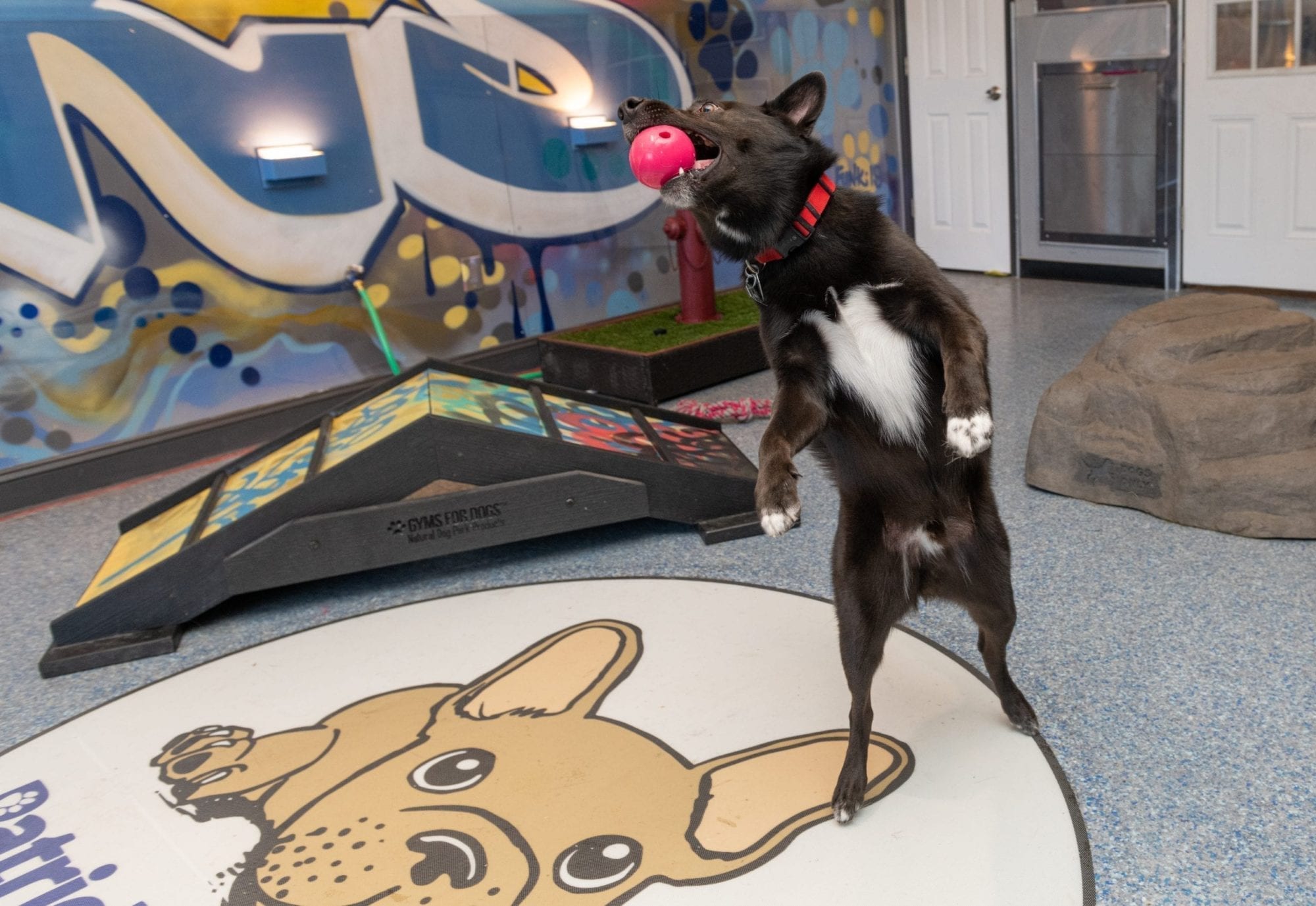 Patricks_Pet_Care-121-scaled