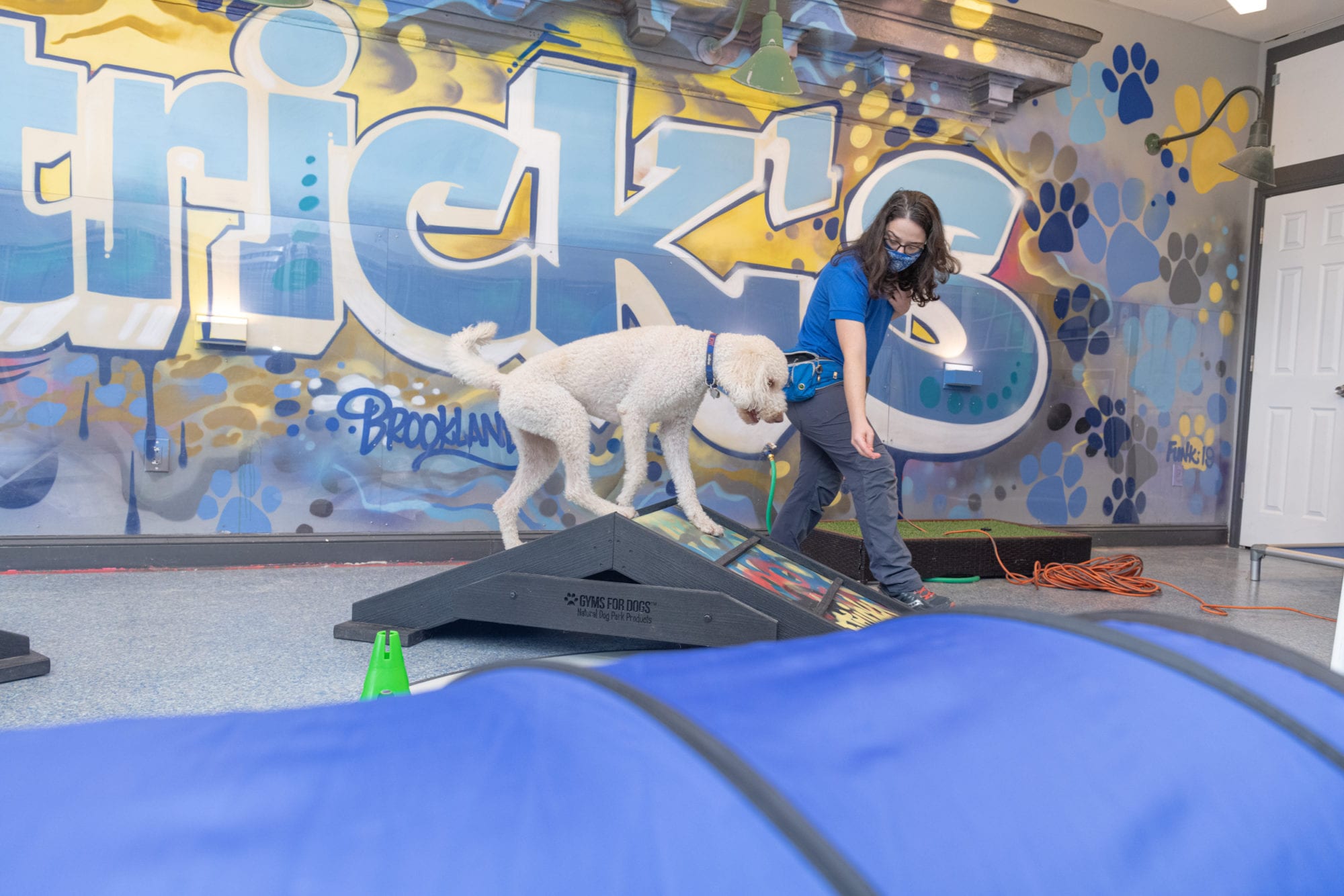 Patricks_Pet_Care 8-20 (187)