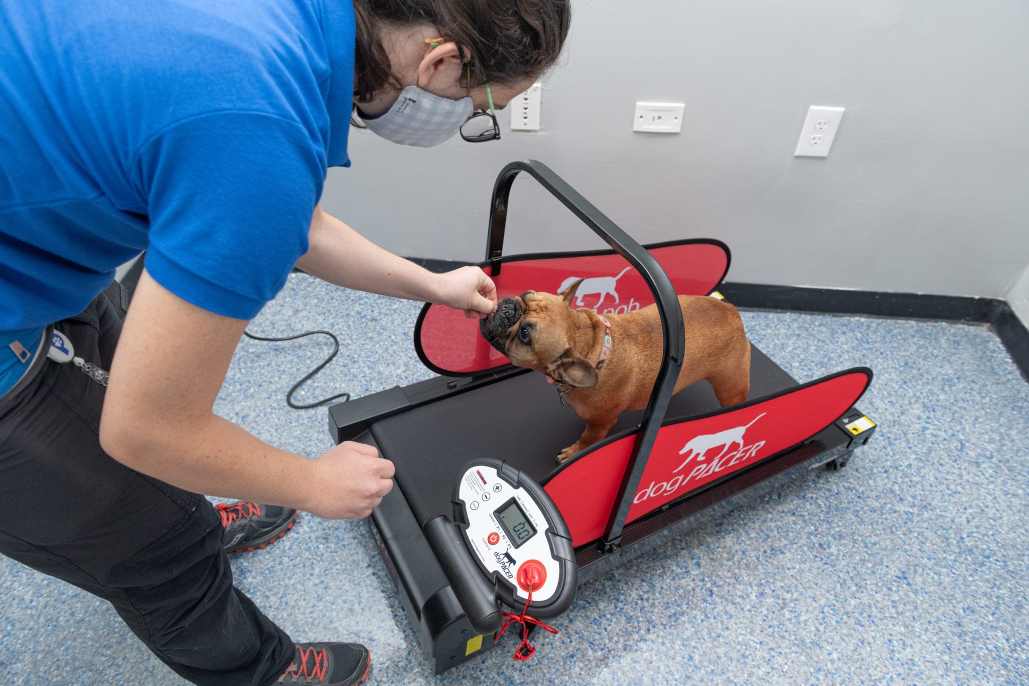 Patricks_Pet_Care 8-20 (93)