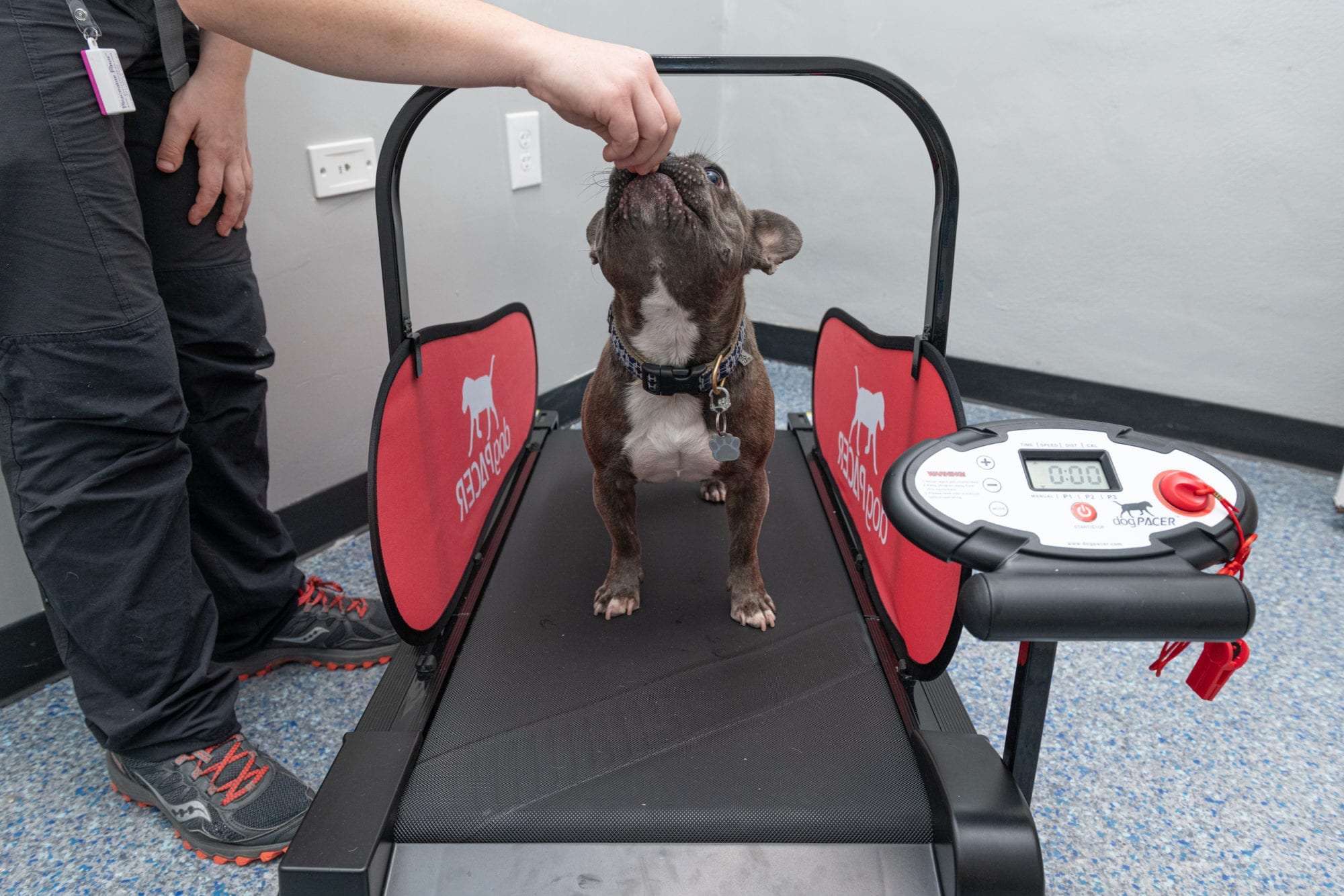 Patricks_Pet_Care-8-20-96-scaled.jpg