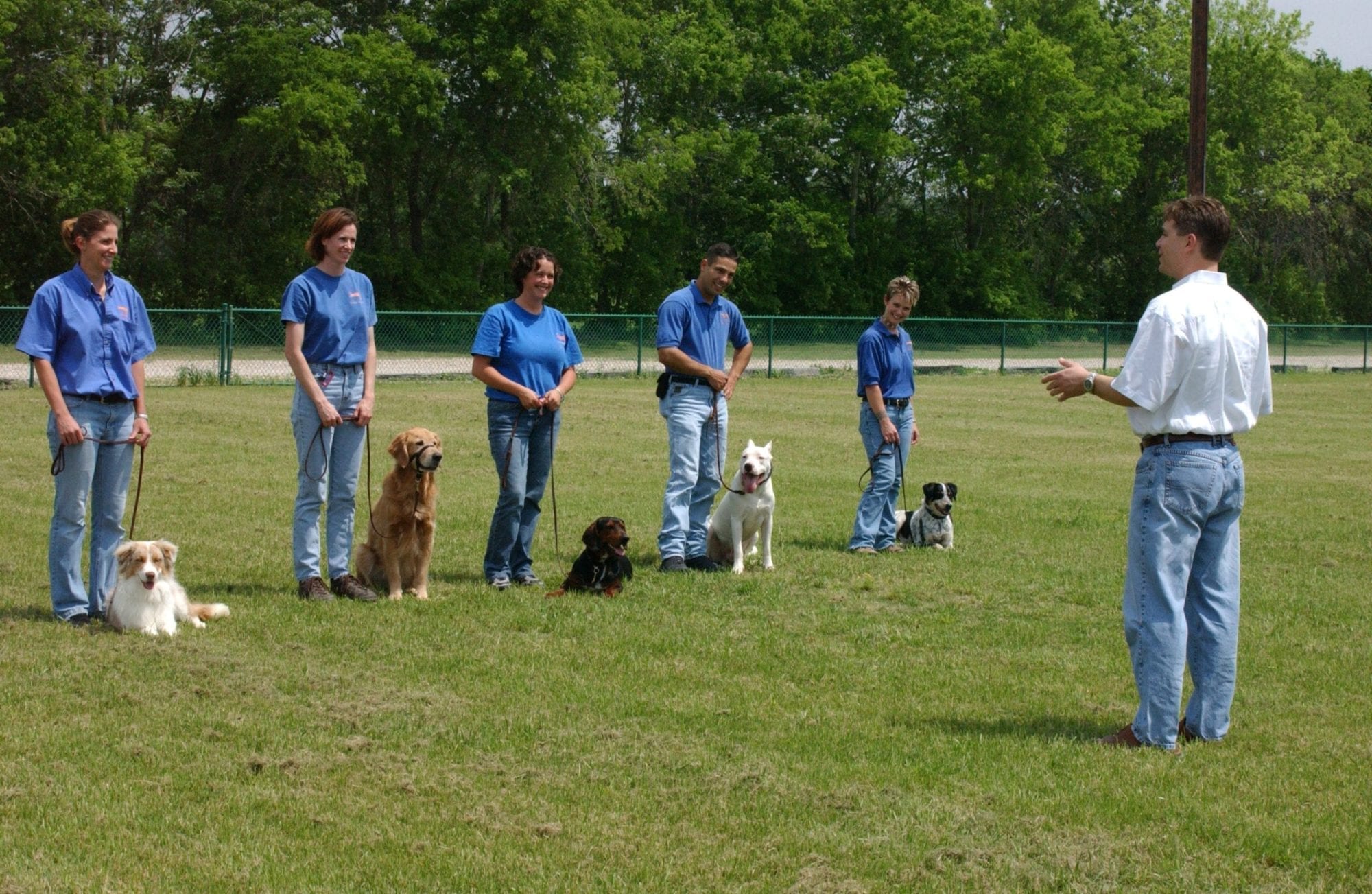 Washington DC Dog Training, Classes & Private Lessons