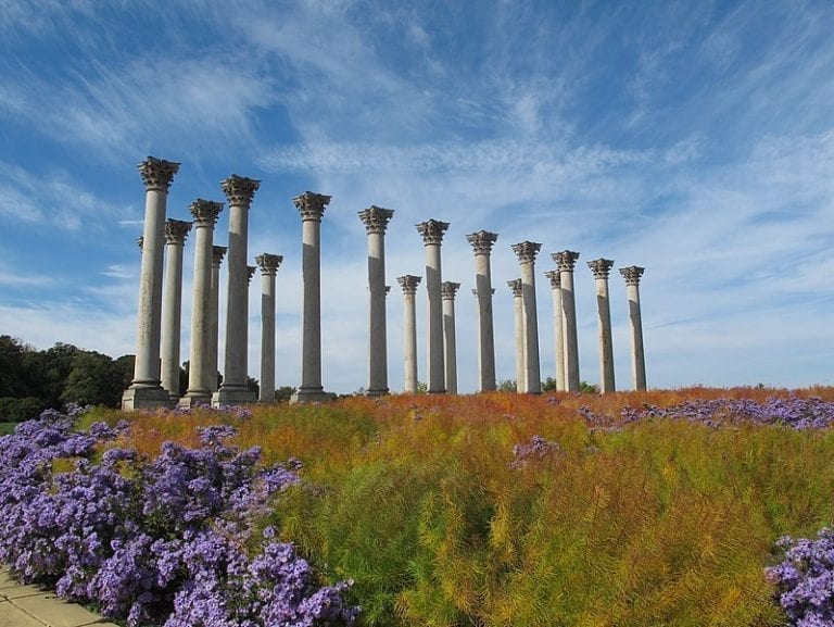 The 15 Best Places to Walk Your Dog in D.C. Patrick's Pet Care