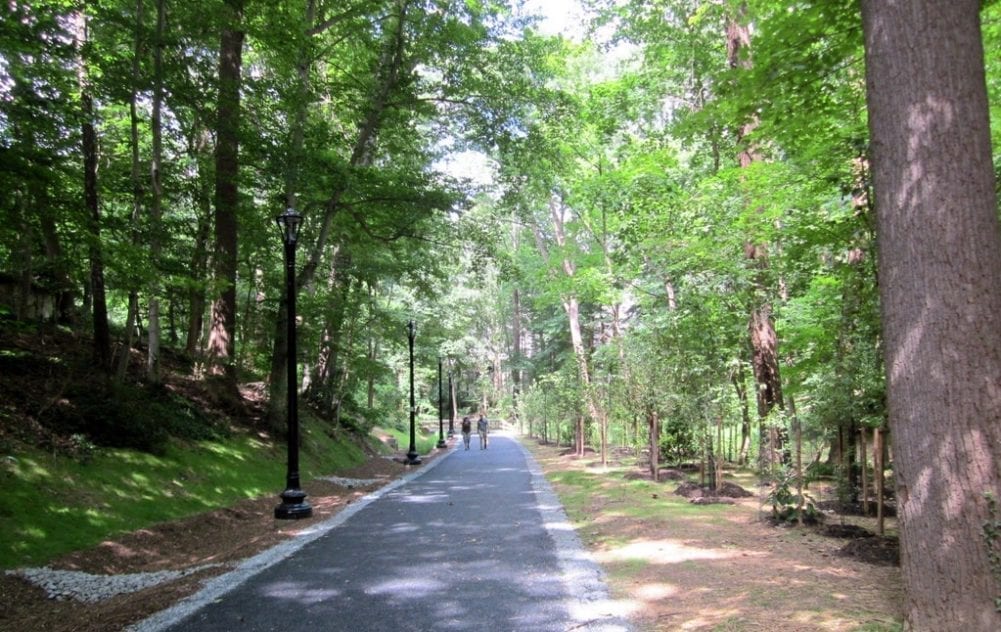 The 15 Best Places to Walk Your Dog in D.C. Patrick's Pet Care