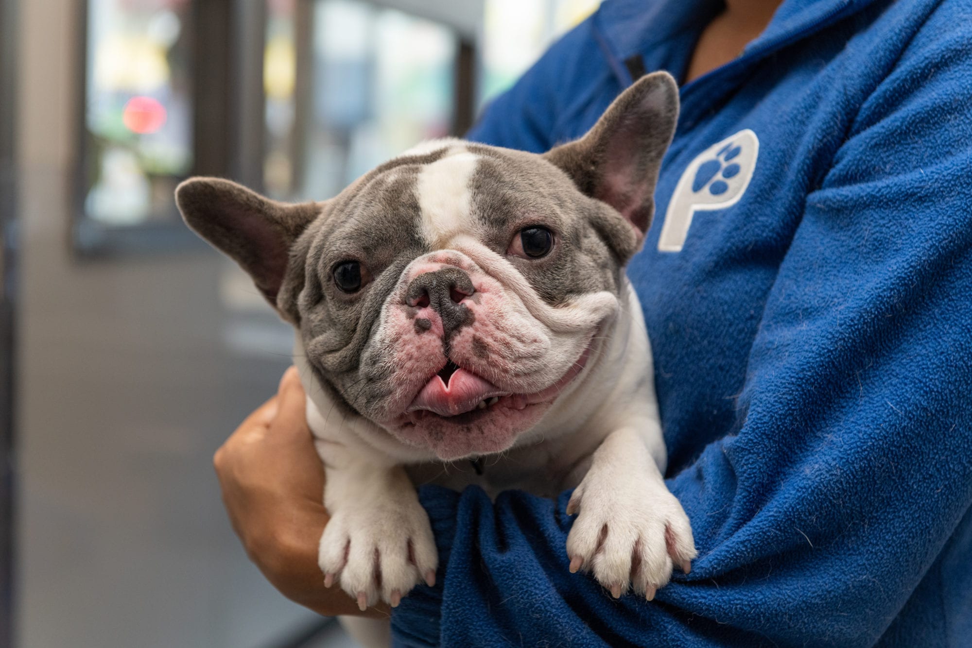 Patrick's_Pet_Care (81) Patrick's Pet Care