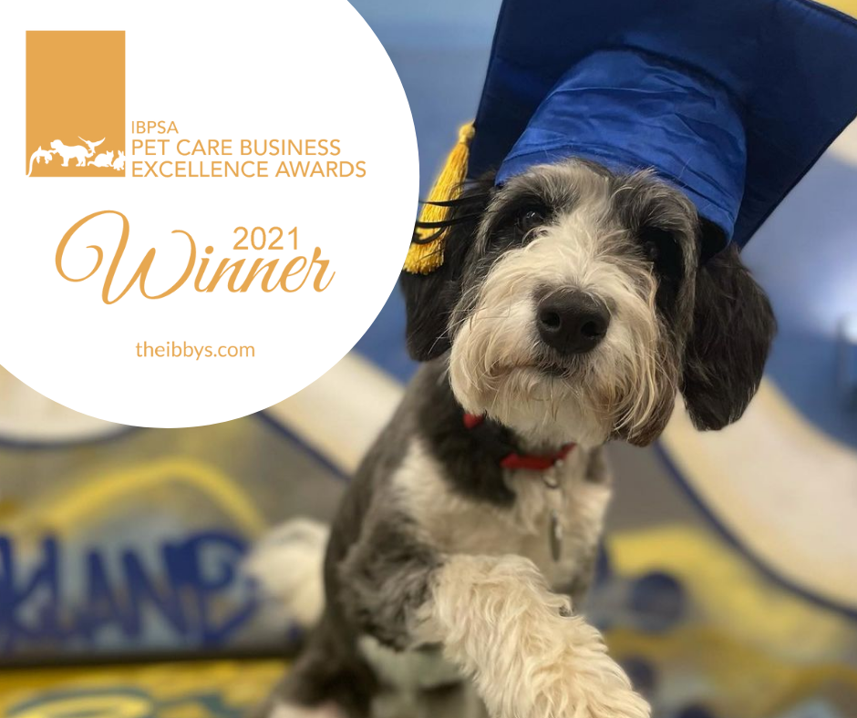 Featured image for “Patrick’s Pet Care Announced as an IBPSA Pet Care Business Excellence Award Winner”