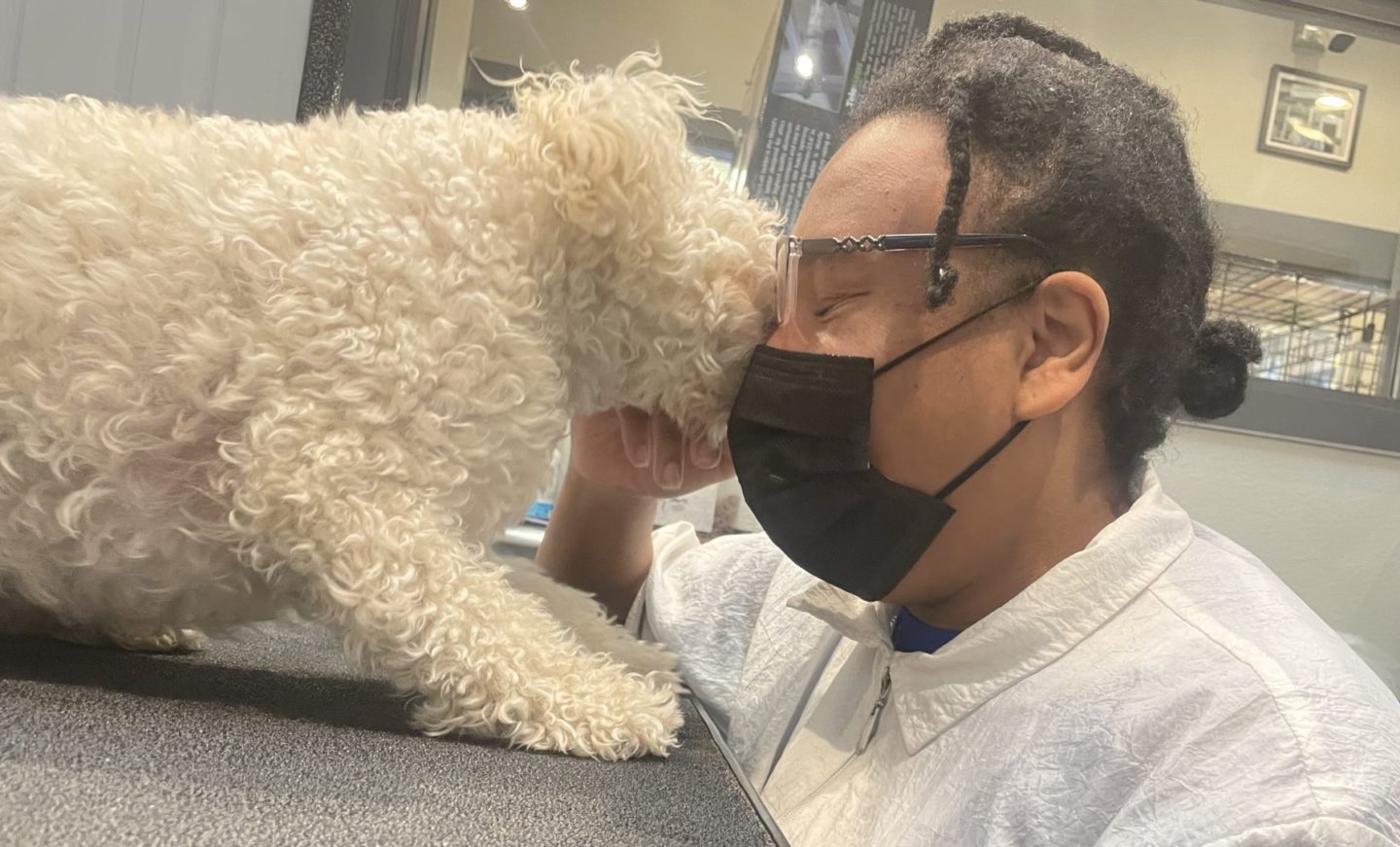 Dog Grooming It’s NOT A Spa Patrick's Pet Care