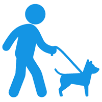 Dog Training Walks